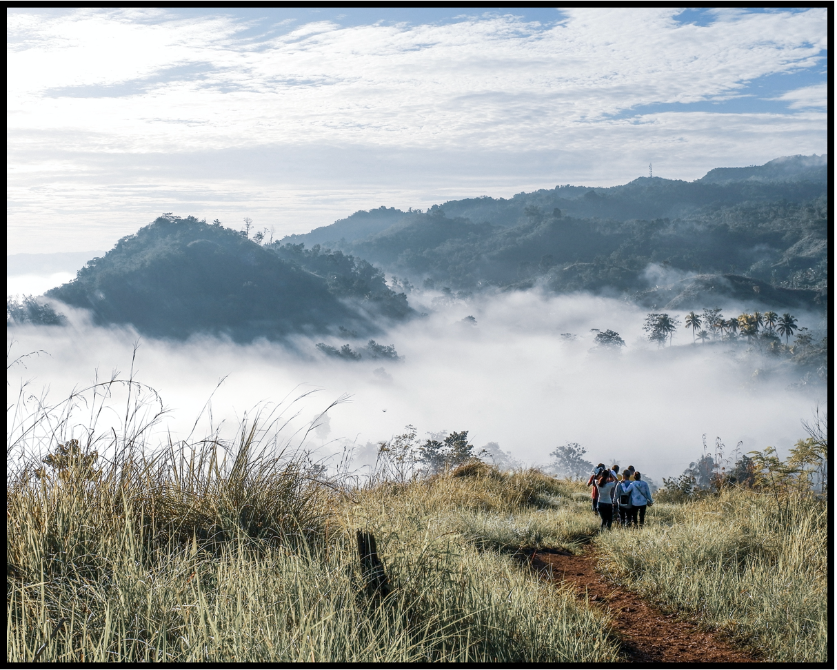 Screen Shot 2020-09-02 at 7.49.03 AM